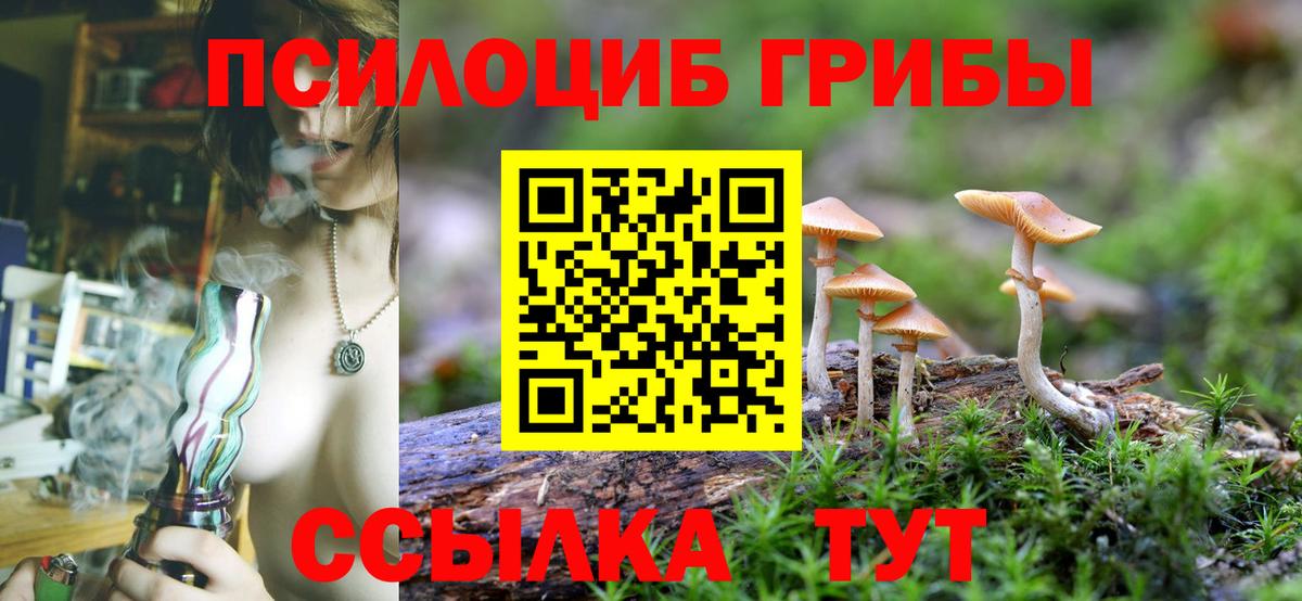 Псилоцибиновые грибы Psilocybine cubensis Миасс