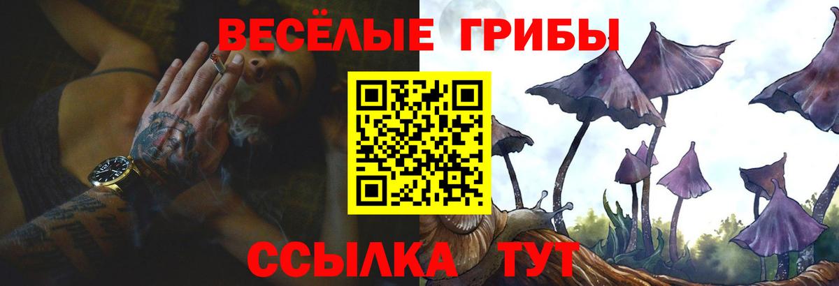 Галлюциногенные грибы GOLDEN TEACHER  Вход с VPN  Галлюциногенные грибы Magic Shrooms  Миасс 